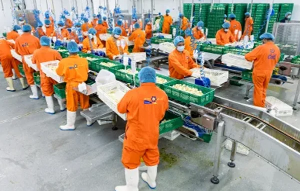 Supportive macro-economic environment and significant sector growth potential photo news